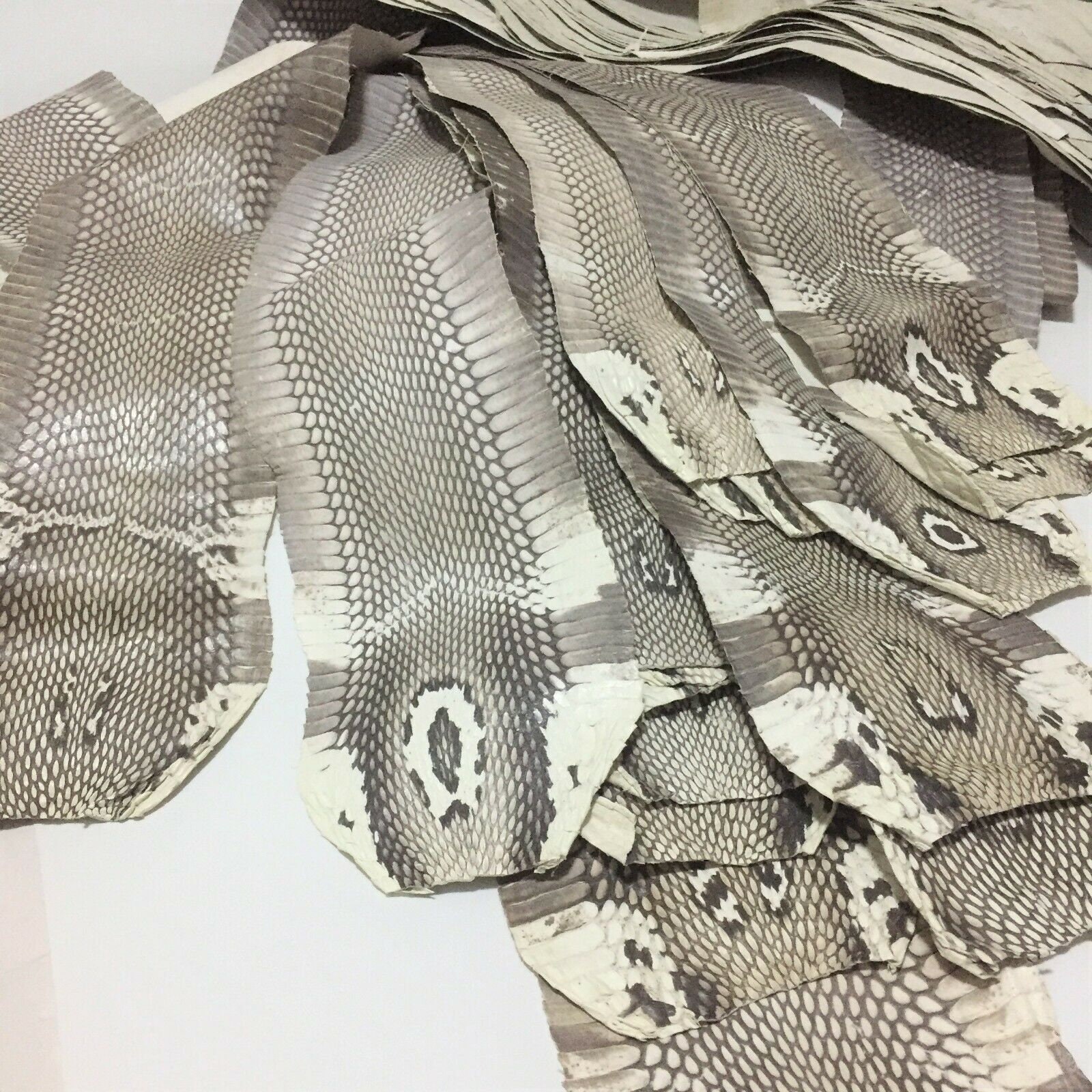 Matte Snake Skin Asia Cobra Snakeskin Hide Leather without Etsy