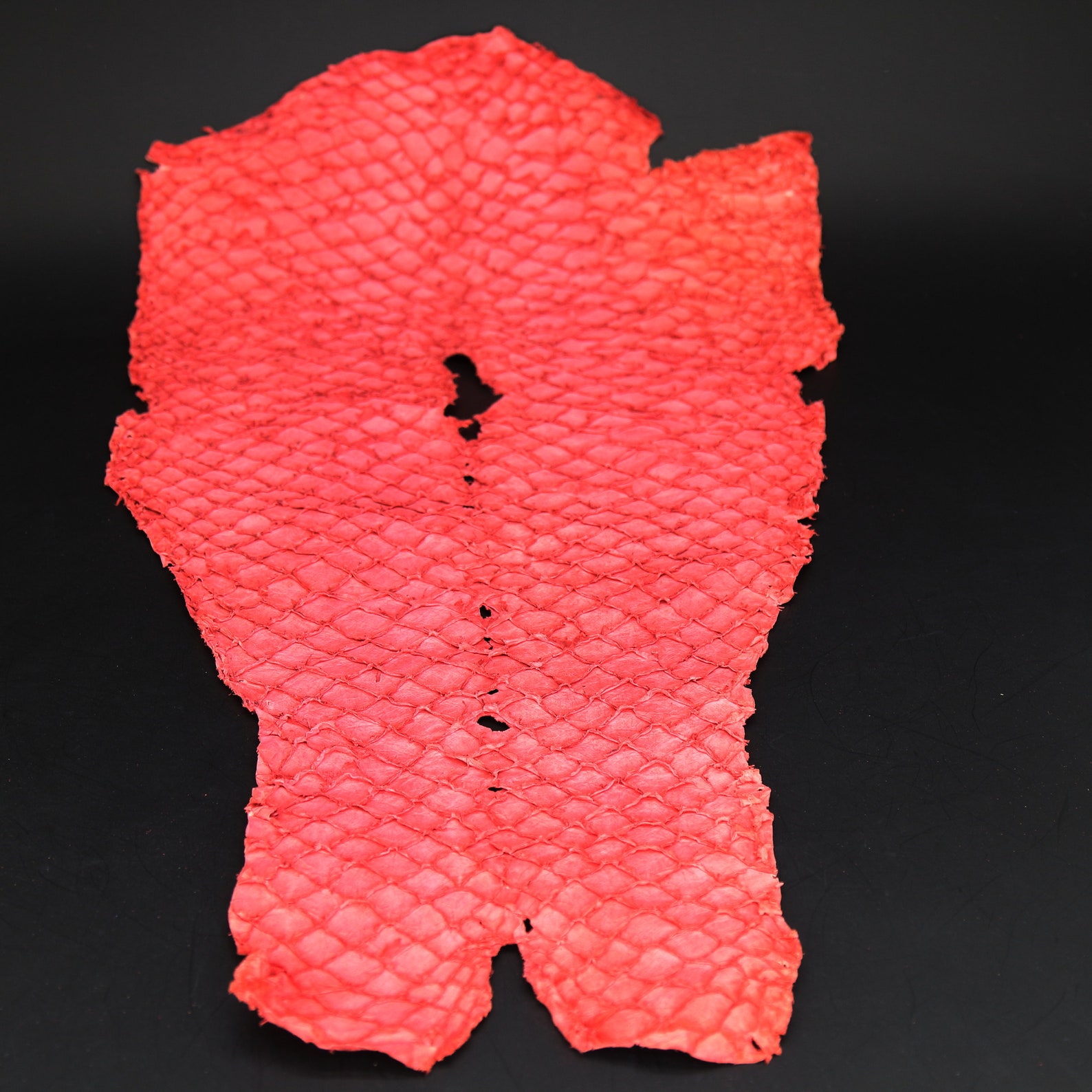 Asia Grass Carp Fish Skin Leather Hide Supple Matte Etsy