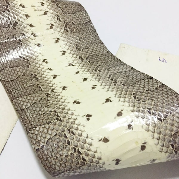 Snake Skin Jewelry Etsy