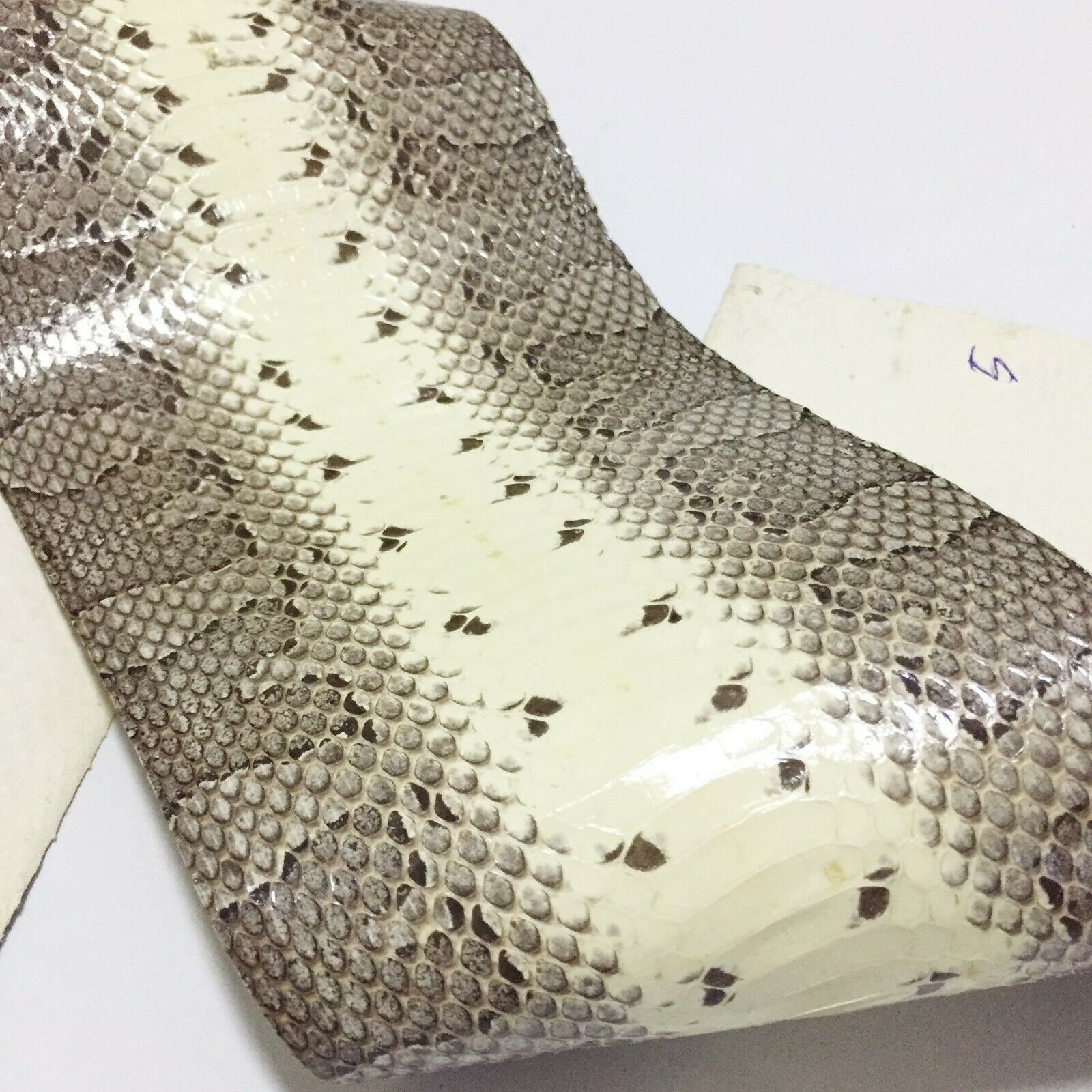 Masked Water Snake Skin Hide Leather Snakeskin Craft Supply Etsy