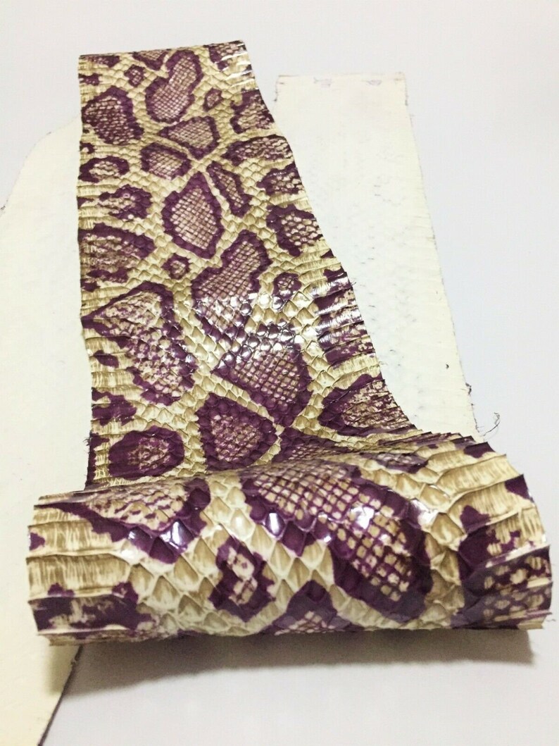 Cobra SNAKESKIN SNAKE SKIN Hide Tanned Burmese Python Print Etsy