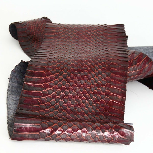 concord 11 snake skin