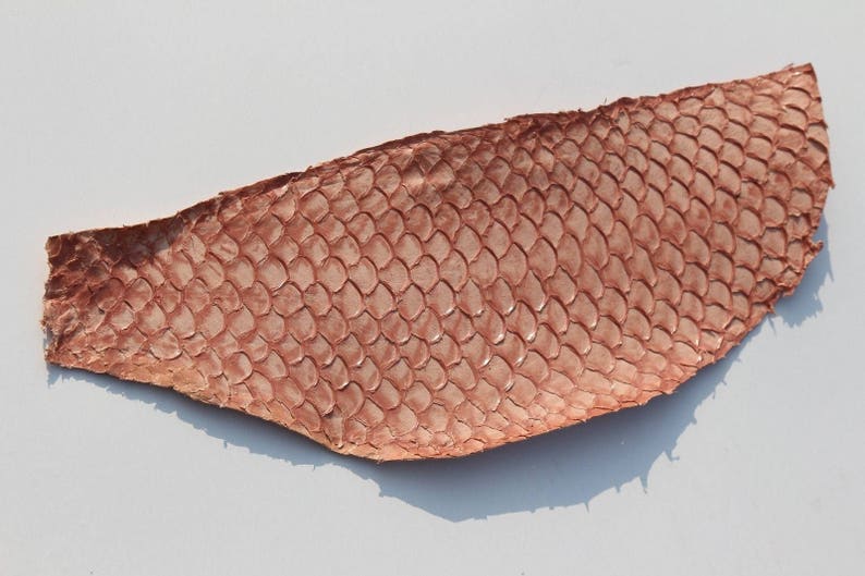 Genuine fish leather skin Tilapia Maroquinerie Rose Pale Etsy