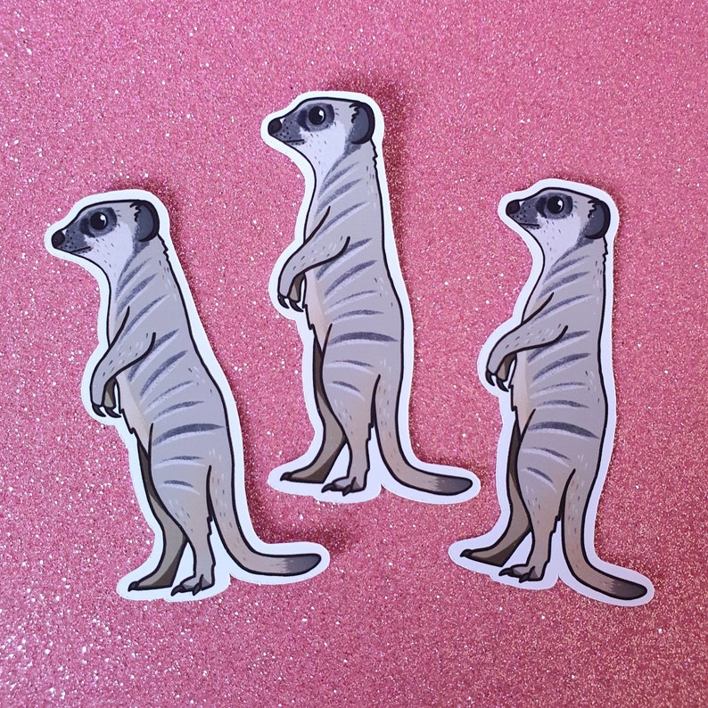Meerkat Vinyl Sticker Zoo Animal Lover Wildlife Cute Etsy UK