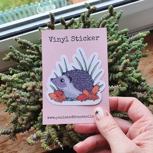 Adesivo in vinile riccio, amante degli animali, zoologia, fauna selvatica, carino, amore per i boschi, regalo, natura, arte, illustrazione, laptop, planner