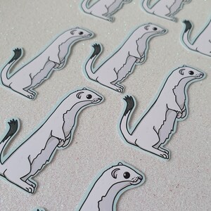 May include: A collection of stickers featuring a cartoon stoat in a standing pose. The stoats are primarily white with gray shading and black tail tips. Each sticker has a light blue border and is set against a glittery white background.