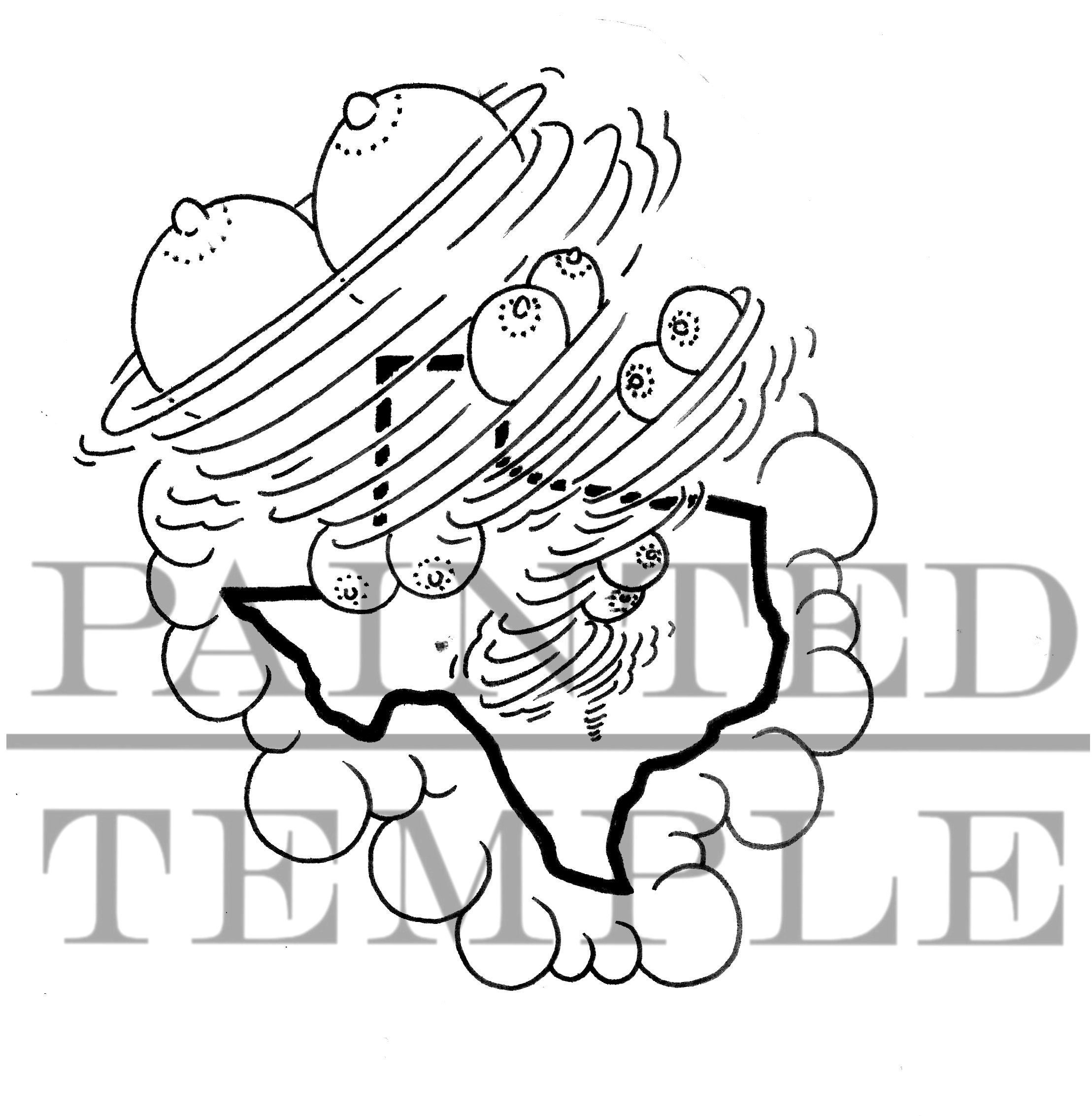 Texas Titty Twister - DIGITAL - Humor Art - Includes 4 File
