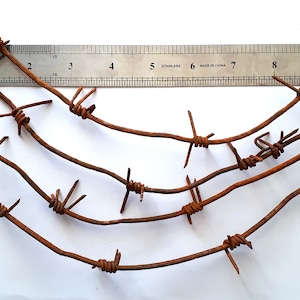 Original WWII WW2 Barbed Wire Battle Relic 1943 Bunker Eastern Front vintage Barb World War Trench Warfare Army military history militaria