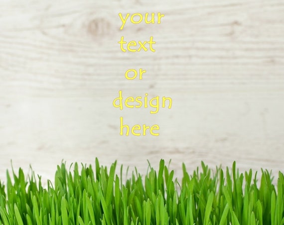Product Background Spring Background Product Mockup Digital Background Spring