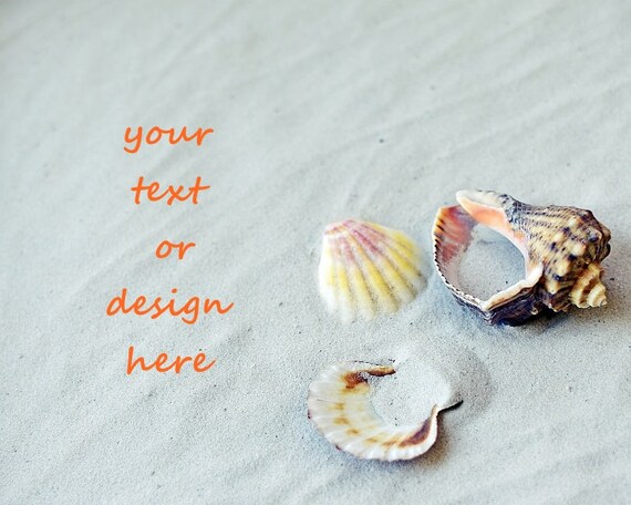 Nautical Stock Image Product Mockup Beach Themed Desktop Seashell