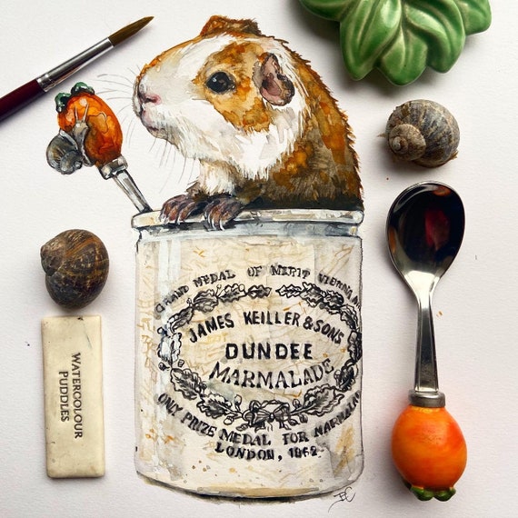 Marmalade the Guinea Pig Print Vintage Stoneware Jar Pet Etsy