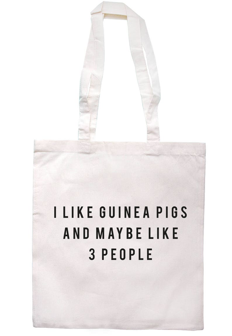 I Like Guinea Pigs And Maybe Like 3 People Tote Bag Long Handles TB1956