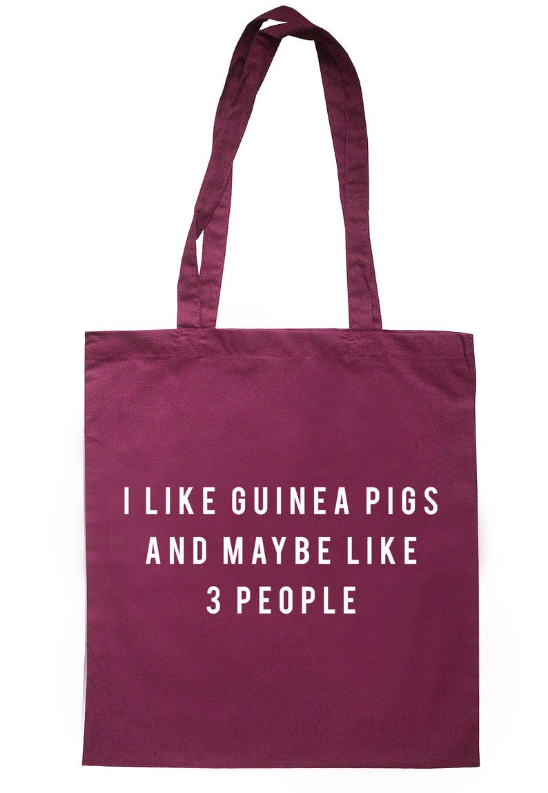 I Like Guinea Pigs And Maybe Like 3 People Tote Bag Long Handles TB1956