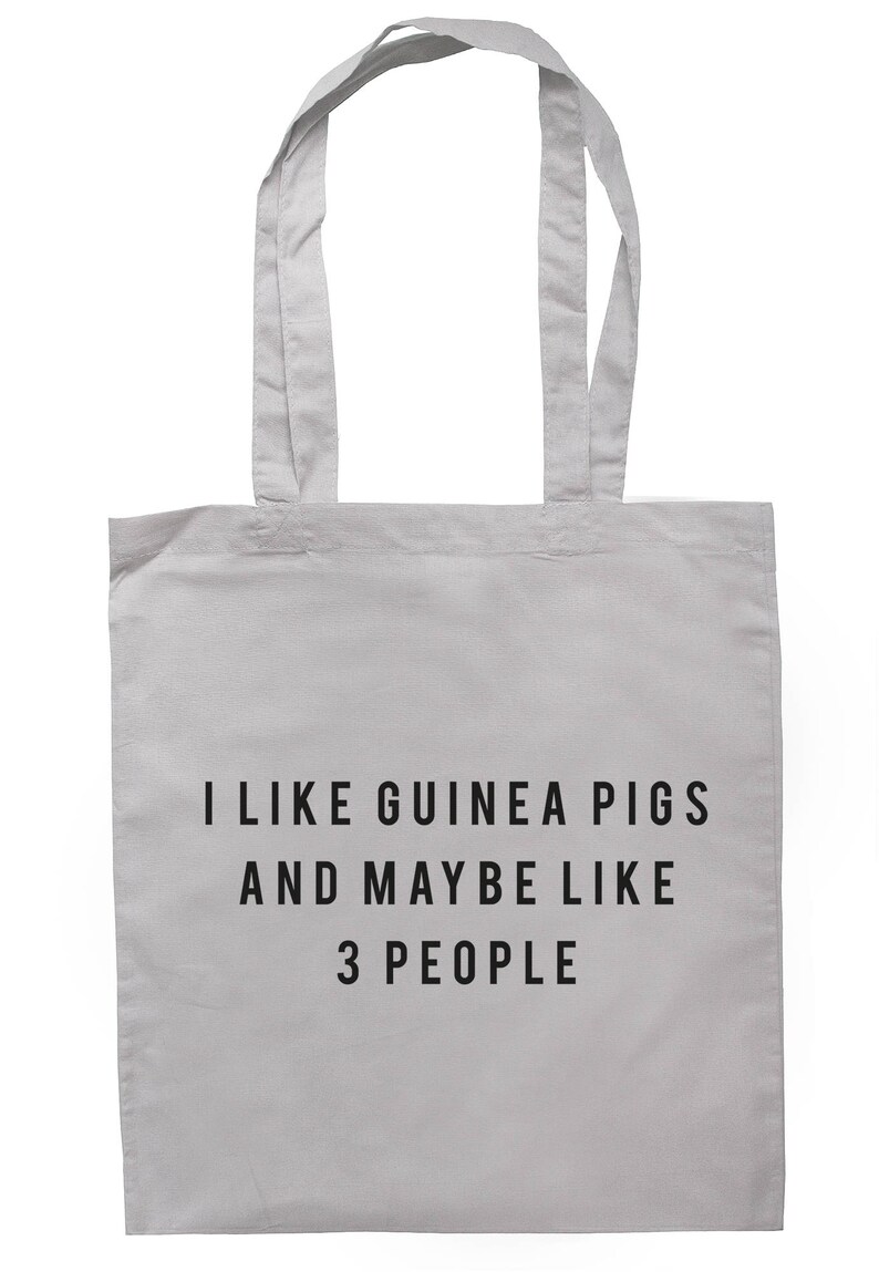 I Like Guinea Pigs And Maybe Like 3 People Tote Bag Long Handles TB1956