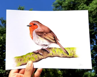 Robin A5 Art Print Watercolour Illustration / British Garden Birds Lover Gift