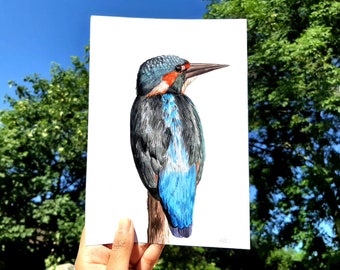 Kingfisher A5 Art Print Watercolour Illustration / British Bird Lover Gift