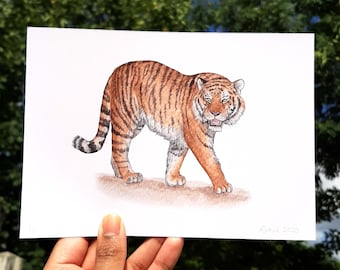 Tiger Art Print / 7 by 5" Giclée Print of an original watercolour painting  / Wild Big Cat Art / Bengal tiger illustration