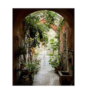 Print Secret Garden New Orleans Louisiana