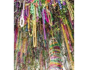 May include: A tree trunk covered in colorful beaded necklaces, primarily in shades of purple, green, gold, and red. The necklaces are hanging from the branches and are draped over the trunk.