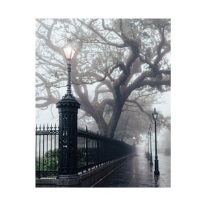 Framed Photo Print of MORNING FOG JACKSON SQUARE NEW ORLEANS LOUISIANA BLACK  AND WHITE VERTICAL Print Picture Image Fine Art Photography Large Framed  Print Wall…