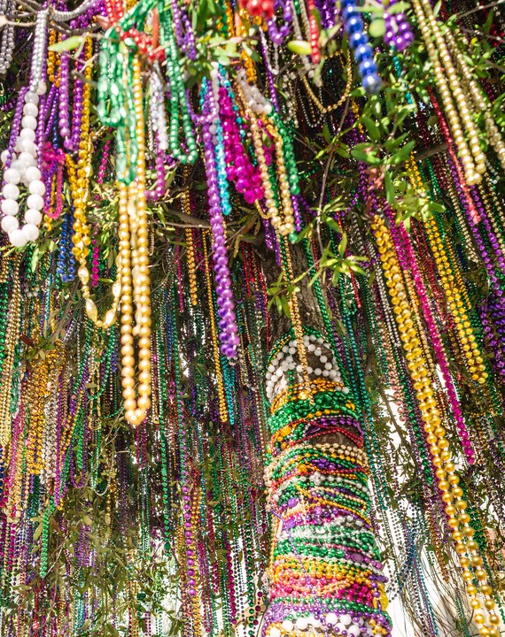 Mardi Gras Bead Tree in New Orleans, LA