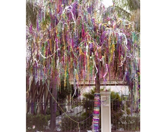 May include: A tree covered in colorful Mardi Gras beads and streamers. The beads are purple, green, and gold, and the streamers are white and purple. The tree is in front of a white fence.