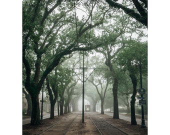 Print Streetcar in the Fog New Orleans