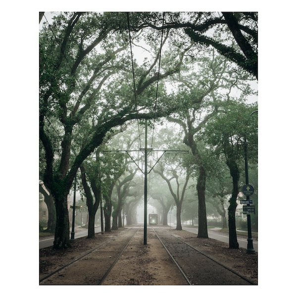 Print Streetcar in the Fog New Orleans