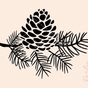 Pigna SVG, pigna svg, natale svg, inverno svg, pigna svg, pigna, cartello natalizio svg, pino svg, pigne, rami di pino