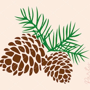Pigna SVG, pigna svg, natale svg, inverno svg, pigna svg, pigna, cartello natalizio svg, pino svg, pigne, rami di pino