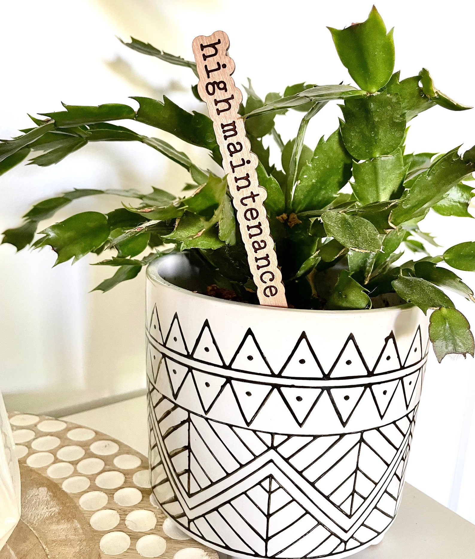 punny-plant-signs-plant-markers-plant-gift-boho-decor-etsy