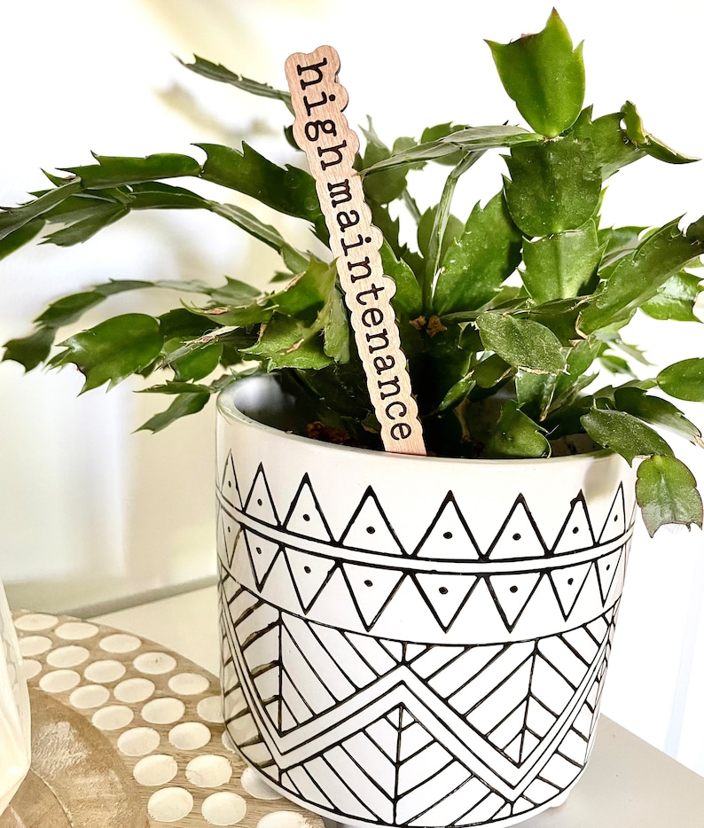 Punny Plant Signs Plant Markers Plant Gift Boho Decor Etsy