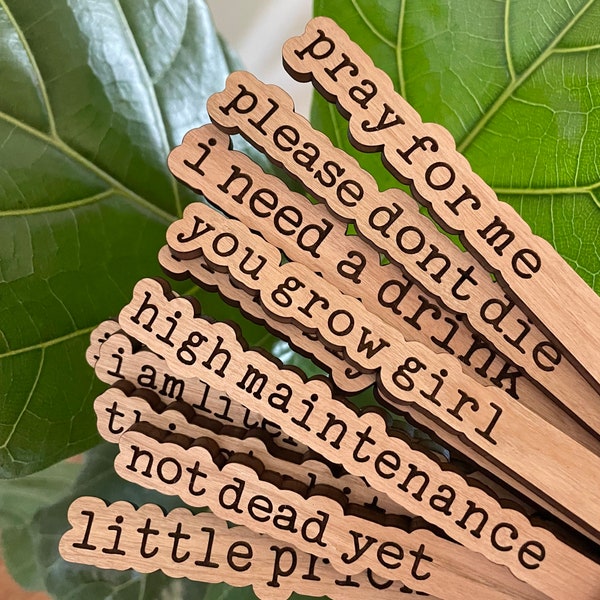 Punny Plant Signs| Plant Markers| Plant Gift | Boho Decor | Vertical Plant Sticks | Garden Accessories