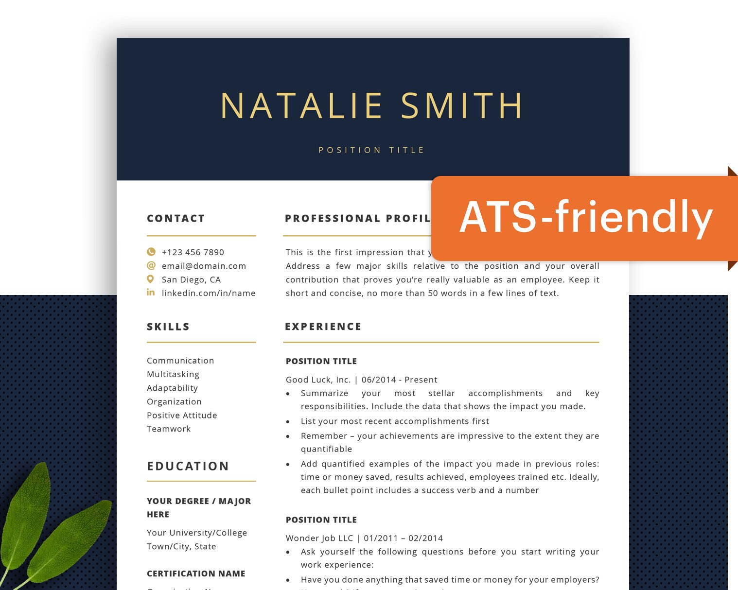 Free Resume Templates with No Header - Instant Download