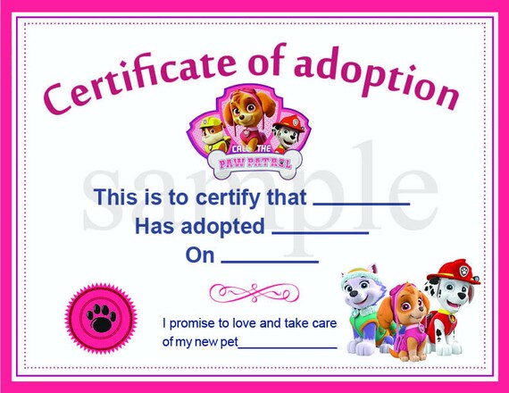 Safety Patrol Certificate Of Appreciation
