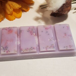 jelly beans wax melts | handmade soy melts | food scented melts