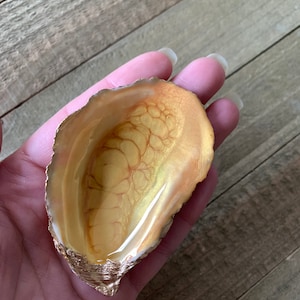 Gilded Oyster Shell Ring Dish: Sunflower Yellow Coastal Decor