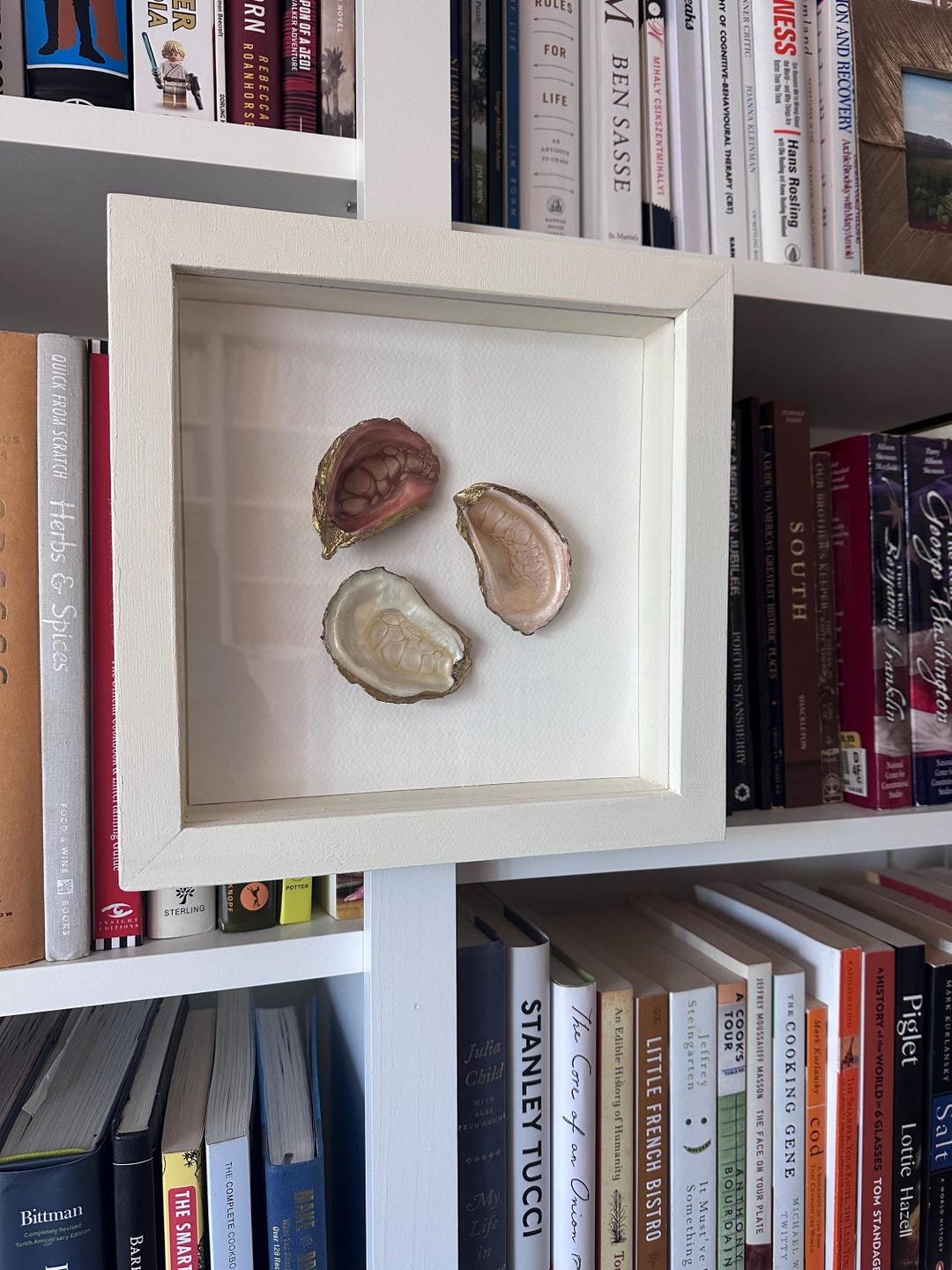 Handmade Oyster Shell Shadow Box Art: Peach, Ivory, Gold Accents - Etsy