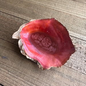 May include: A red and orange seashell with a smooth, polished interior. The shell is a natural, organic shape and has a slightly rough exterior.