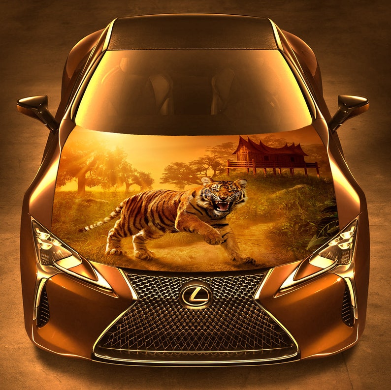 How Much Does It Cost To Vinyl Wrap A Car In South Africa Car Sale