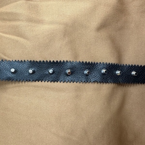 May include: Black leather trim with silver studs. The trim has a scalloped edge.