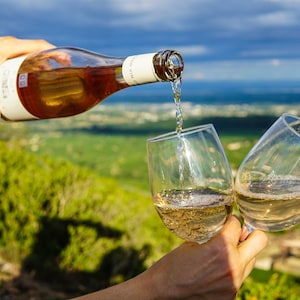 May include: Two glasses of white wine being poured from a bottle of rose wine. The glasses are held by hands and the background is a scenic view of a vineyard.