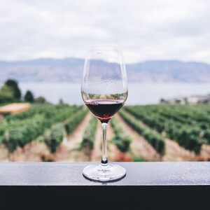 May include: A glass of red wine sits on a black surface with a vineyard and a body of water in the background.