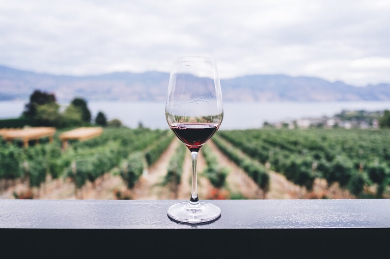 May include: A glass of red wine sits on a black surface with a vineyard and a body of water in the background.