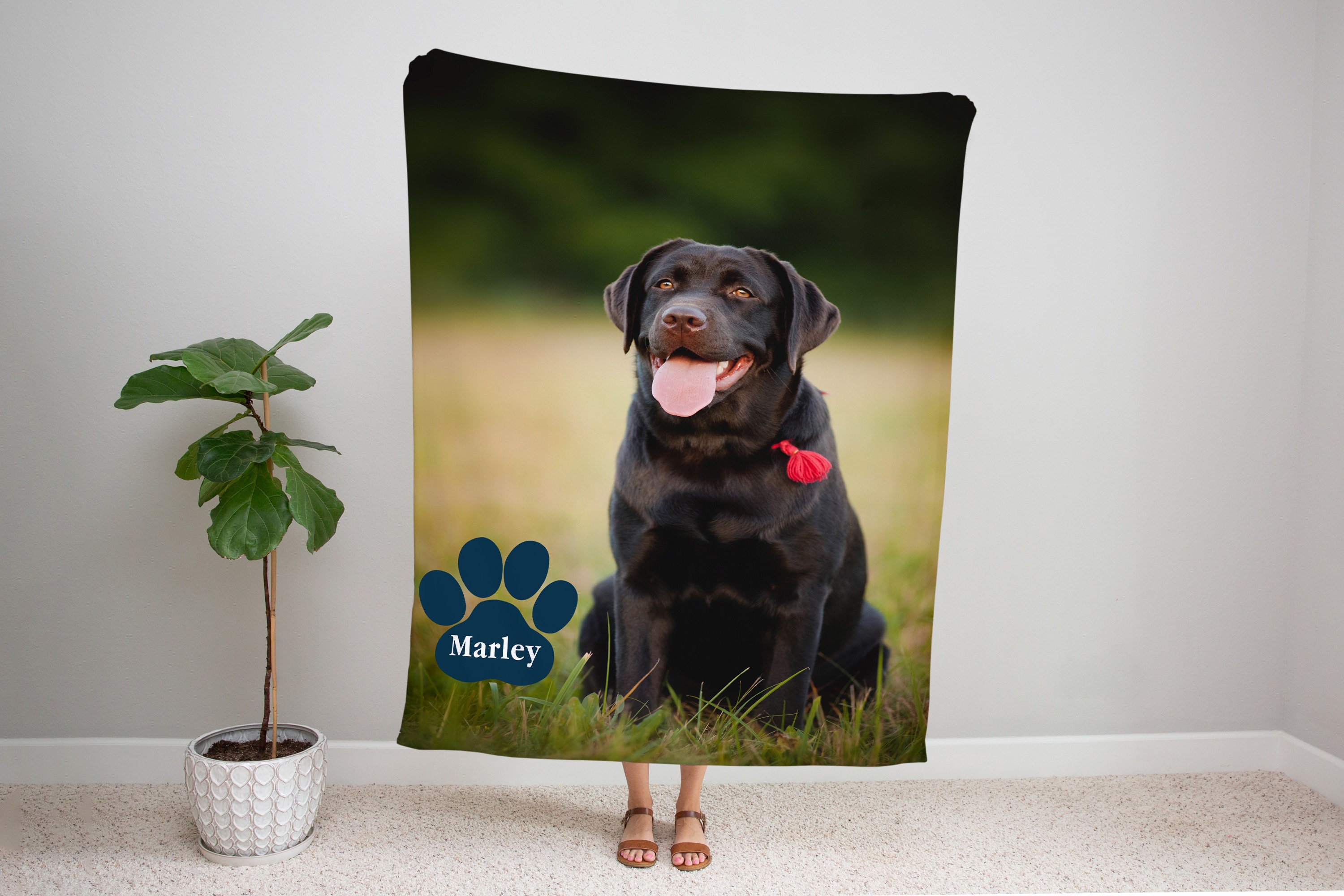 Personalized Black Labrador Blanket Black Labrador Blanket Etsy