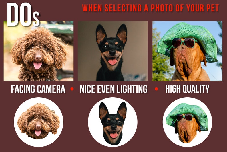 May include: A guide with three examples of good photos to use when selecting a photo of your pet for a product listing. The first photo shows a brown poodle facing the camera with good lighting. The second photo shows a black chihuahua facing the camera with good lighting. The third photo shows a brown dog wearing sunglasses and a green hat with good lighting.