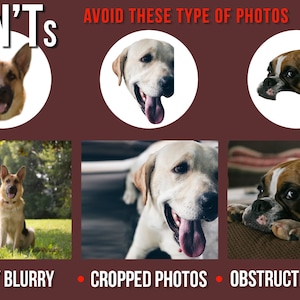 May include: A graphic with the text "DON'T'S" in red letters. The graphic shows three examples of photos to avoid when taking pictures of dogs. The first example shows a blurry photo of a German Shepherd. The second example shows a cropped photo of a Labrador Retriever. The third example shows a photo of a Boxer with its face obstructed by a blanket. The text below the photos reads "SMALL / BLURRY", "CROPPED PHOTOS", and "OBSTRUCTED FACES".