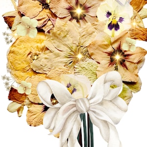 Pressed Flower Greeting Card floral bouquet dried botanicals Hydrangea sympathy birthday gratitude anniversary blank note 4 card pack