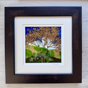 May include: A framed artwork featuring a pressed flower arrangement with dried brown flowers and green foliage against a blue and gold background. The artwork is titled "Avalonia".