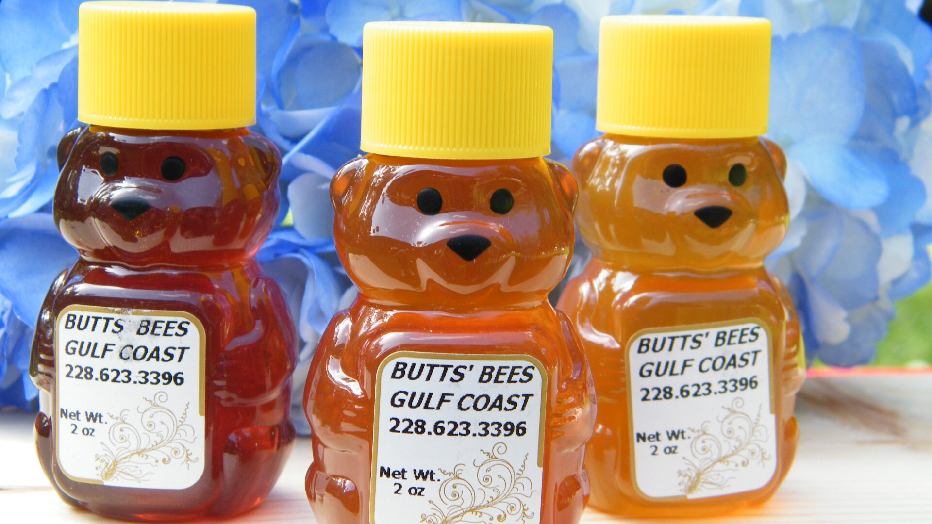 2oz Honey Bear Cute Mini Honey Bears Pure Raw Mississippi Etsy